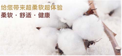 ���a�D�߼����ރ�ѝ