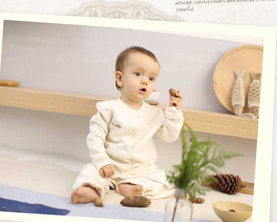  �Ѷ���ؐ���ی����B�w��