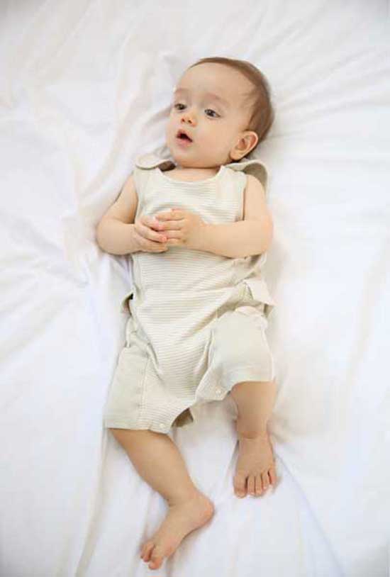  �Ѷ���ؐ�o���B�w��