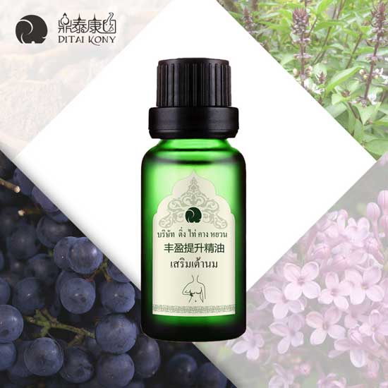  ��̩���@�Sӯ��������