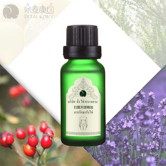  ��̩���@�D����ʹ����