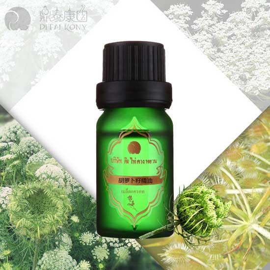  ��̩���@���}���Ѿ���