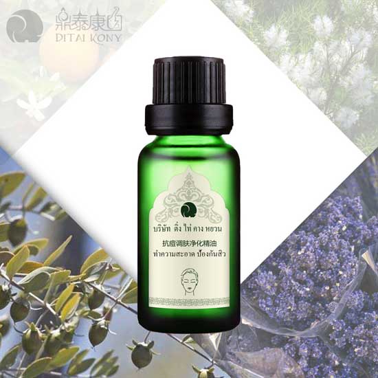  ��̩���@�����{�w��������