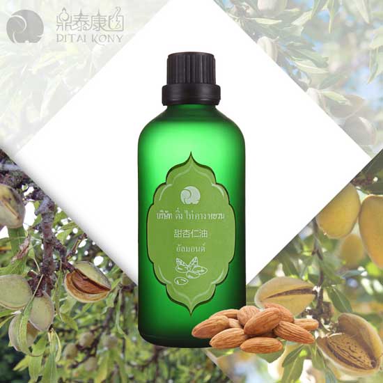  ��̩���@��������