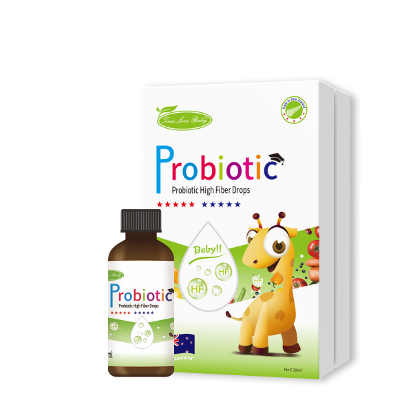 ��ی�ؐ���������w����ʳ�w�S��