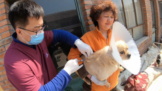 ���ô�ĸ��Ʒ��Nest Designs�y�֡������𡱞�100ֻ���˹��ṩ���¼�