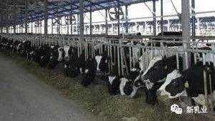 һ�ښ�������� 10 �ҹ�˾���@��������Ҫ�@ô����