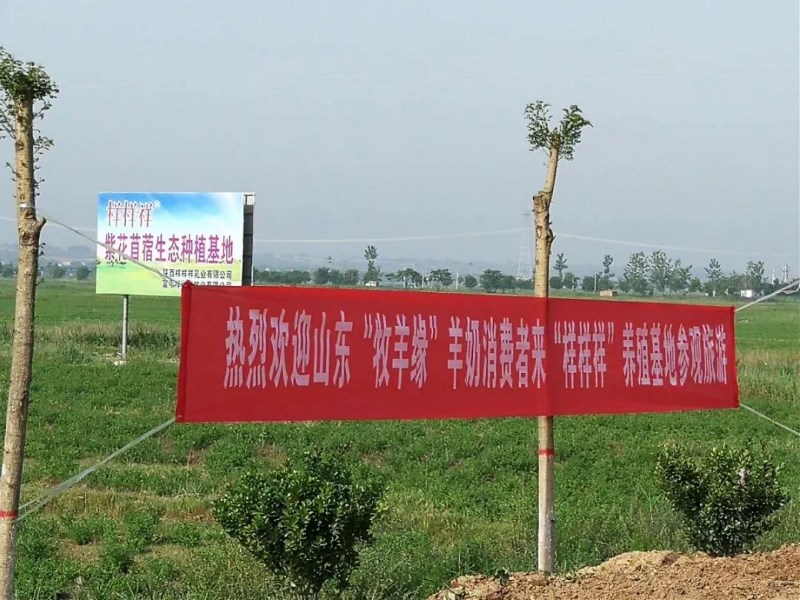 ����Ә�����I���޹�˾ ���ʡ��Ʒ�|����ȫ�·��������]��I