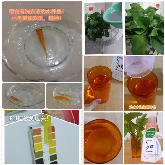 ��ħ�Ԍ�(sh��)�(y��n)���\����ϴ��Һ߀���@ô�惺