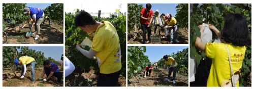 ������c��ů�������־Ը�F��̫ꖴ�һ�����^�����ﶬ