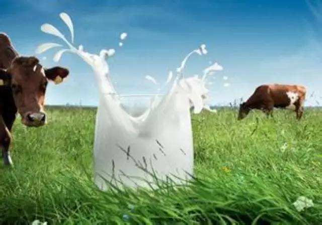 �����ԇ�c�ذ˳�����Ʒ��׷��