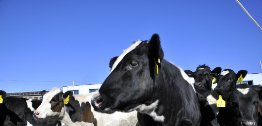 ��I(y��)����F(xi��n)�������a(ch��n)Ҫ������