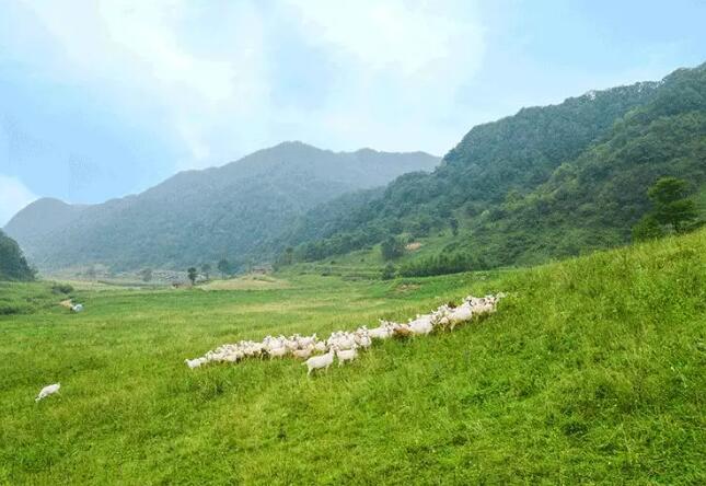 ���ʡ������Ј��l�Aһ���W�R����Դ��I���F���^�{��